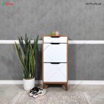 جا کفشی کم جا، جاکفشی 2 درب تک کشو