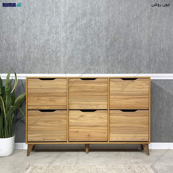 جاکفشی داشبوردی، جا کفشی 6 درب آلوا