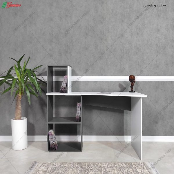 میز تحریر M100