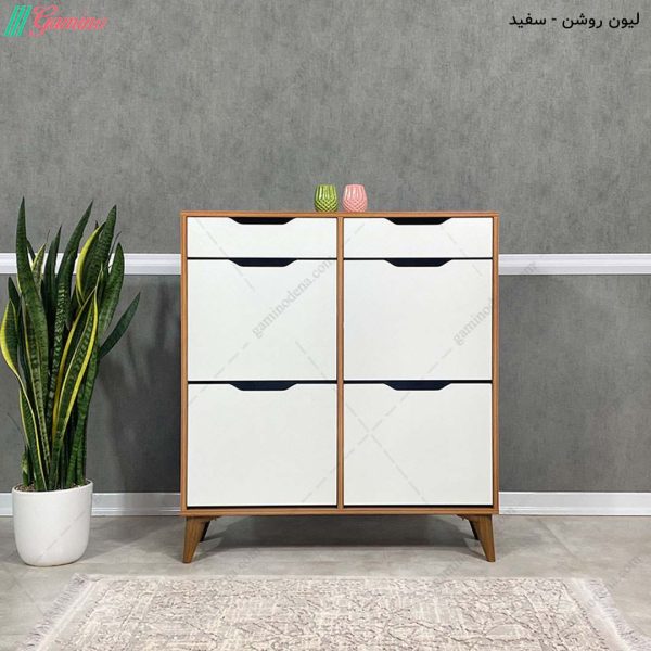 جاکفشی داشبوردی، جاکفشی آلوا 4+2