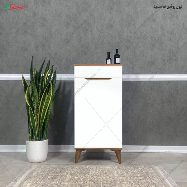 جا کفشی کم جا، جاکفشی ونیز 50