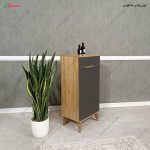 جا کفشی کم جا، جاکفشی ونیز 50