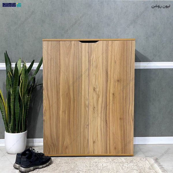 جاکفشی جدید، جاکفشی لاکچری، جاکفشی آینه دار جدید جاکفشی چوبی، جاکفشی لیون