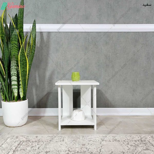 پاتختی رایکا