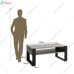 جلو مبلی کارین