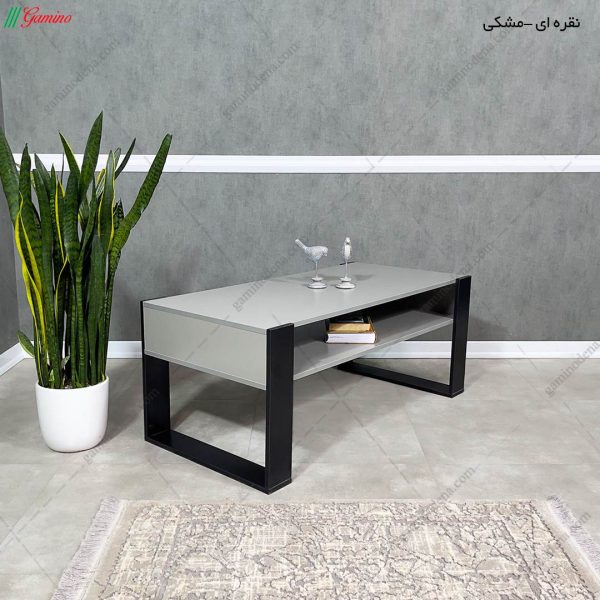 میز جلو مبلی کارین