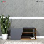 جا کفشی مدرن، جاکفشی نشیمن دار رایان