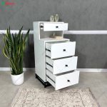 دراور آنیسا