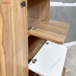 جاکفشی آنوس