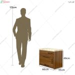 جاکفشی خاور