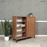 جاکفشی چوبی، جاکفشی ساحل