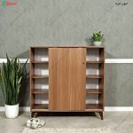 جاکفشی چوبی، جاکفشی ساحل