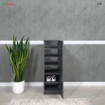 جا کفشی کم جا، جاکفشی پدیده