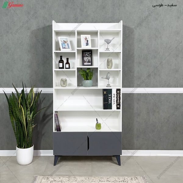 کتابخانه جانا