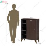 جاکفشی میران