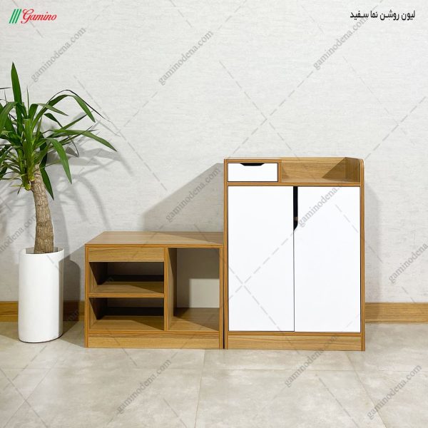 جاکفشی آمیتیس