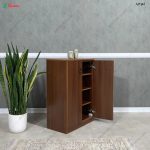 جاکفشی ورودی آپارتمان، جاکفشی روژان