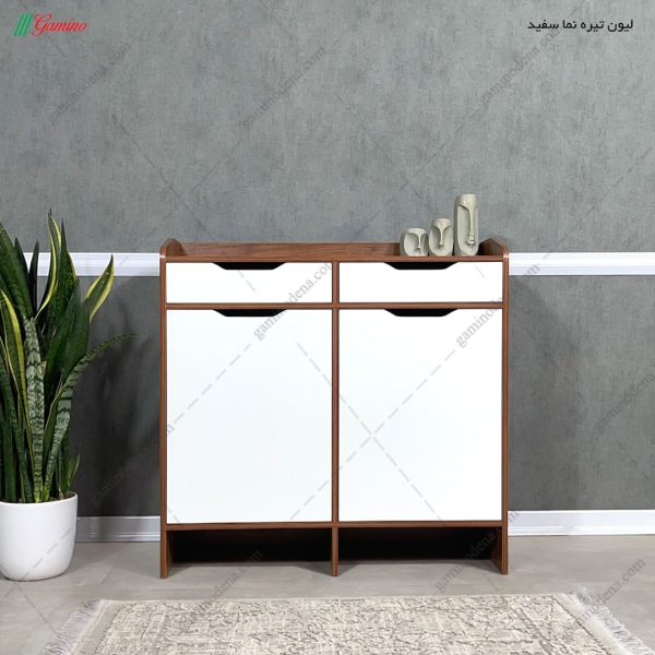 جاکفشی سایه