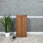 جاکفشی لیانا