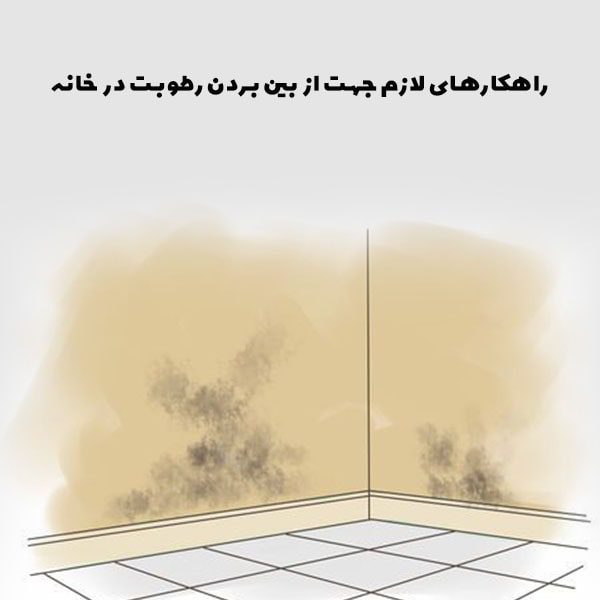 راهکار های لازم جهت از بین بردن رطوبت در خانه؟!