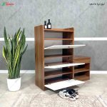 جاکفشی مدرن، جاکفشی آنیسا