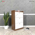 جاکفشی مدرن، جاکفشی آنیسا