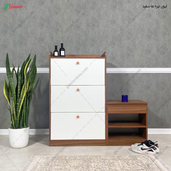 جاکفشی مدرن، جاکفشی آنیسا