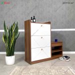 جاکفشی مدرن، جاکفشی آنیسا