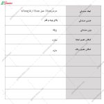 صندلی و نشیمن بهار