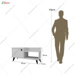 جاکفشی جدید سفید، جاکفشی اهورا