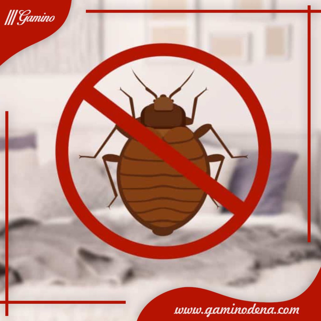 بهترین روش برای از بین بردن ساس