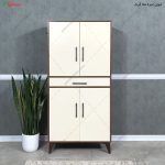 جاکفشی ایستاده، جاکفشی شاینا