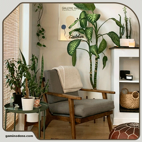 تزئین گوشه های خالی نشیمن