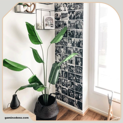 ایده های جدید و خلاقانه برای پوشاندن دیوار با کمترین هزینه