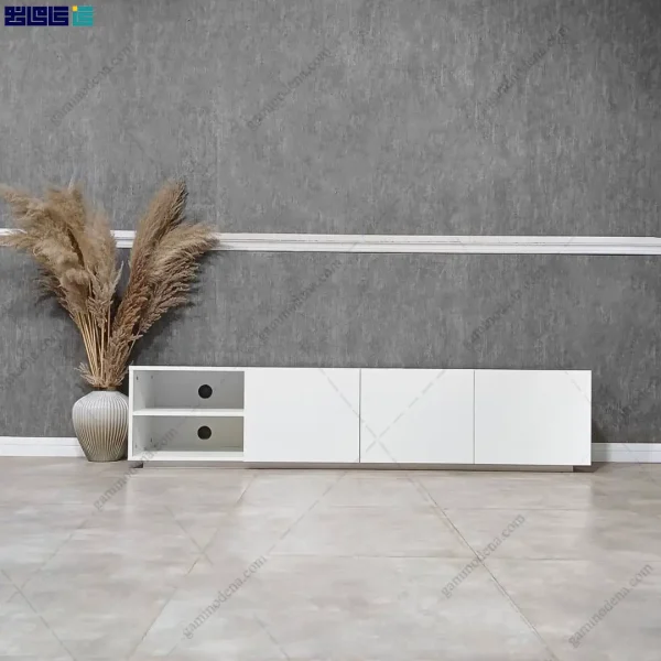 نمای اصلی میز تلویزیون لاکچری و مدن گلی